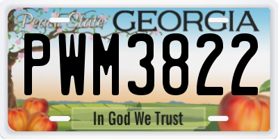 GA license plate PWM3822