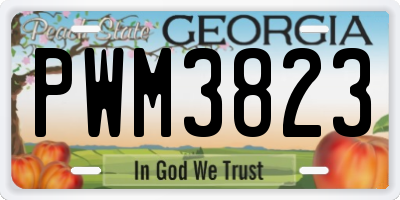 GA license plate PWM3823