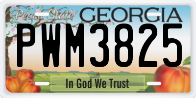 GA license plate PWM3825