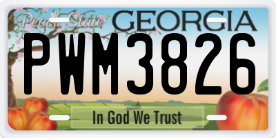 GA license plate PWM3826