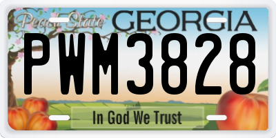 GA license plate PWM3828