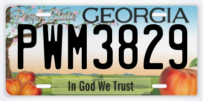 GA license plate PWM3829