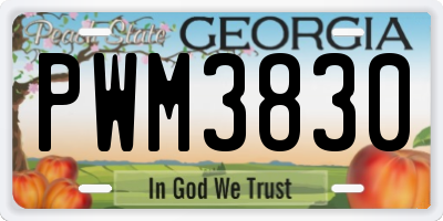 GA license plate PWM3830
