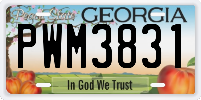 GA license plate PWM3831
