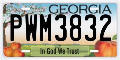 GA license plate PWM3832