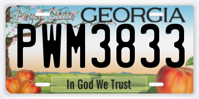 GA license plate PWM3833