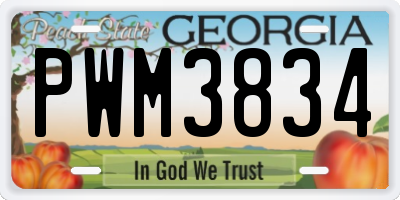 GA license plate PWM3834