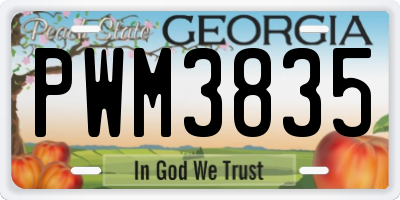 GA license plate PWM3835