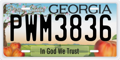 GA license plate PWM3836