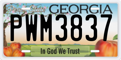GA license plate PWM3837