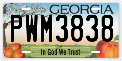 GA license plate PWM3838