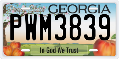 GA license plate PWM3839