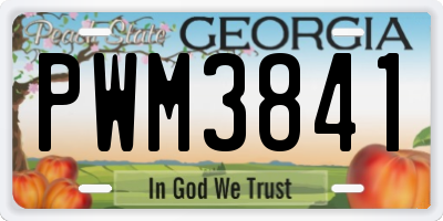 GA license plate PWM3841
