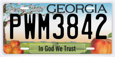 GA license plate PWM3842