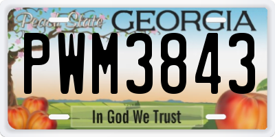 GA license plate PWM3843