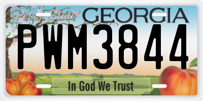 GA license plate PWM3844