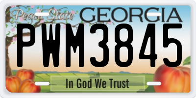 GA license plate PWM3845