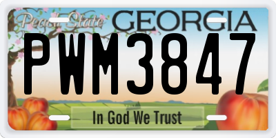 GA license plate PWM3847