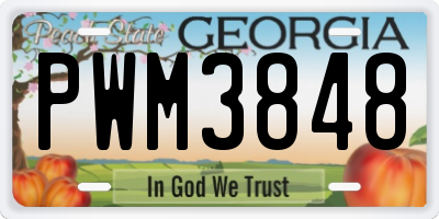 GA license plate PWM3848