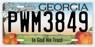 GA license plate PWM3849