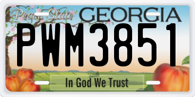 GA license plate PWM3851