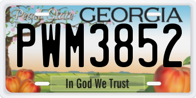 GA license plate PWM3852