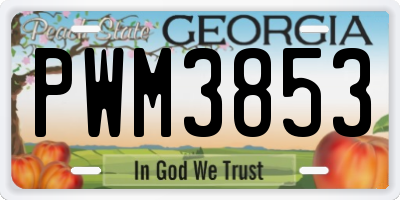 GA license plate PWM3853