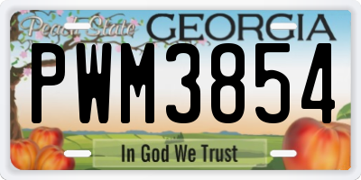 GA license plate PWM3854