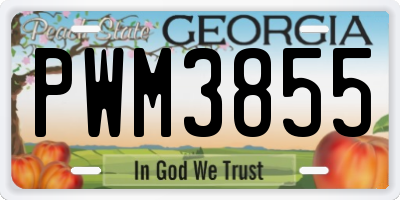 GA license plate PWM3855