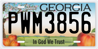 GA license plate PWM3856