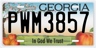 GA license plate PWM3857