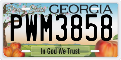GA license plate PWM3858