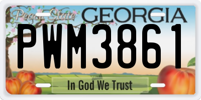 GA license plate PWM3861