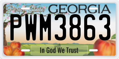 GA license plate PWM3863