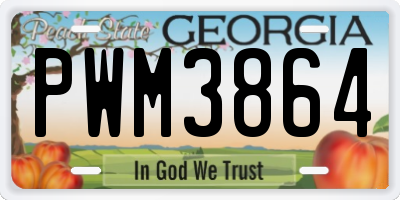 GA license plate PWM3864
