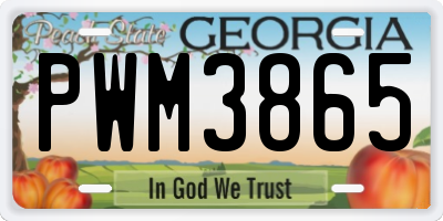 GA license plate PWM3865