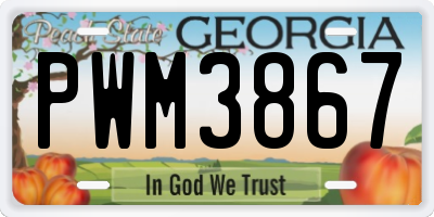 GA license plate PWM3867