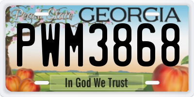 GA license plate PWM3868