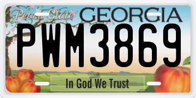 GA license plate PWM3869