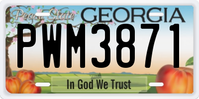 GA license plate PWM3871