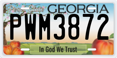 GA license plate PWM3872