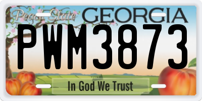 GA license plate PWM3873
