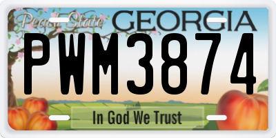 GA license plate PWM3874