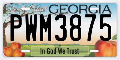 GA license plate PWM3875