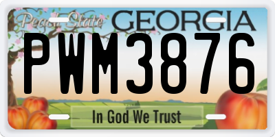 GA license plate PWM3876