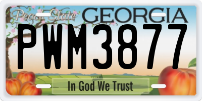 GA license plate PWM3877