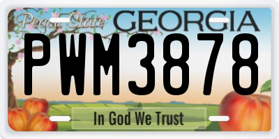 GA license plate PWM3878