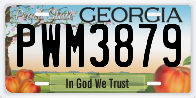 GA license plate PWM3879