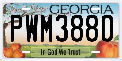GA license plate PWM3880
