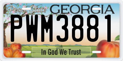 GA license plate PWM3881